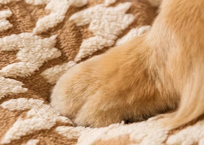 Cama Toquinha Pet Betton – Conforto e Aconchego para Seu Pet